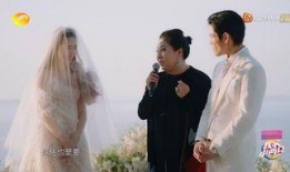 结婚爆料视频大全集,揭秘明星婚事背后的故事